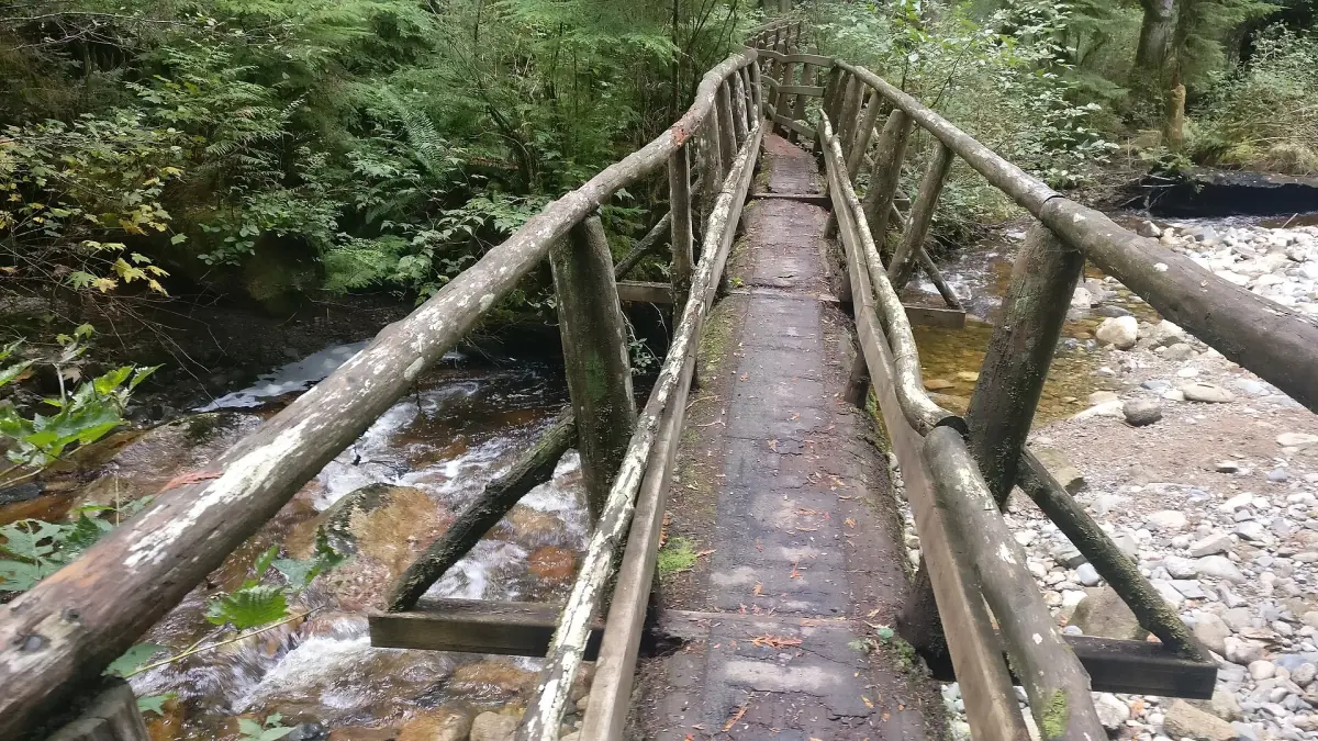 Wooden footbridge with log railings over a creek in Cliff Gilker Park