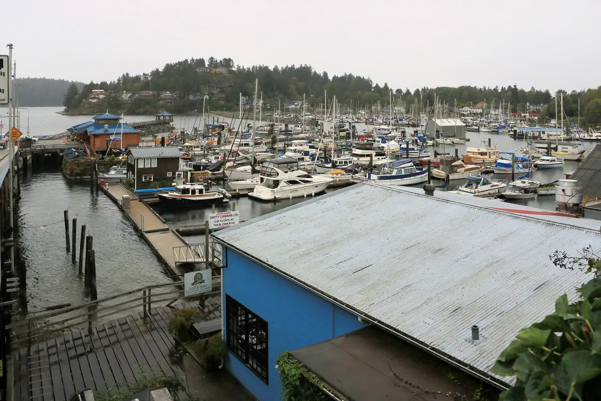 Boats moored in the Gibsons marina beside waterfront buildings