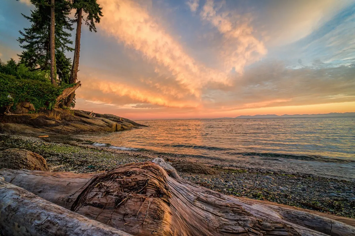 Colourful sunset sky over driftwood and rocks on the beach at Roberts Creek