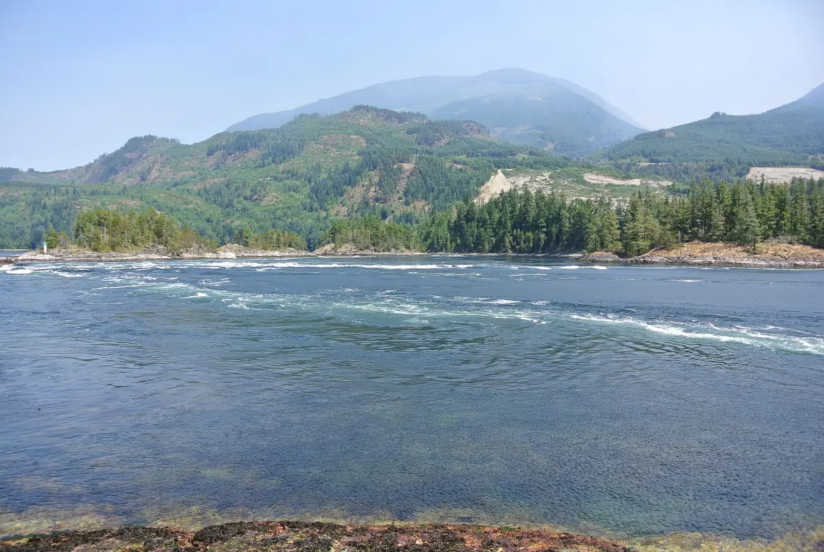 Swirling tidal rapids at Skookumchuck Narrows below forested hills