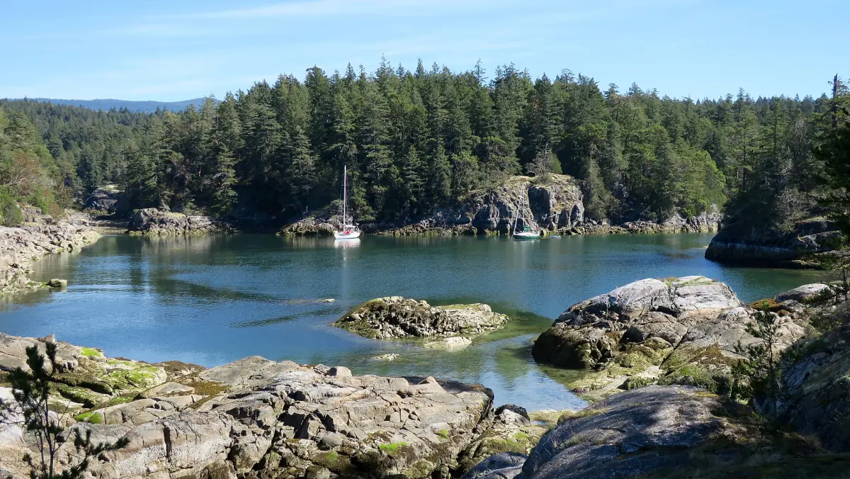 Rocky shoreline and sheltered cove surrounded by evergreen forest